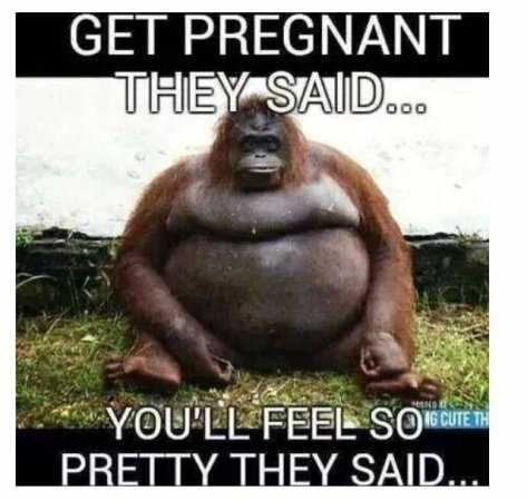 Confessions Of An FTM-1