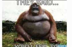 Confessions of an FTM-1