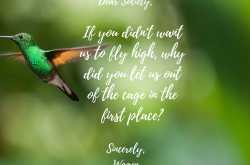 Confessions of an independent woman 2: Settling down