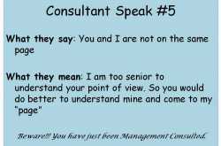 Consultant Speak #5