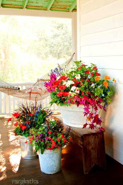Container Garden Ideas