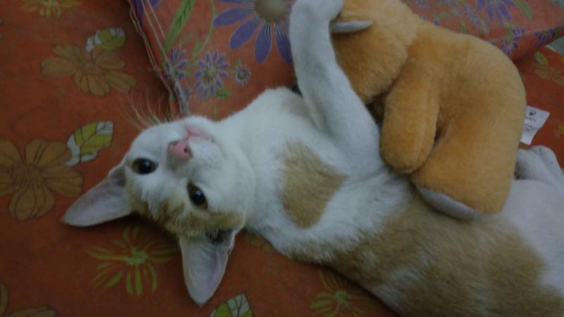 Conversations At Midnight, With A Fiercely Independent Woman