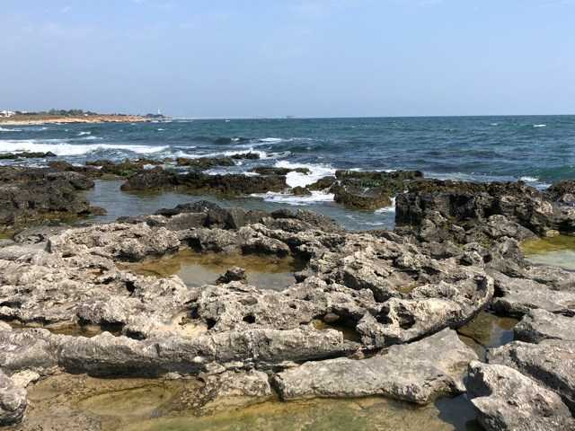 Cool Things I Did In 2018