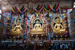 Coorg Chronicle - Part I