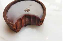 Copenhagen Bakery Tour • Purple Foodie