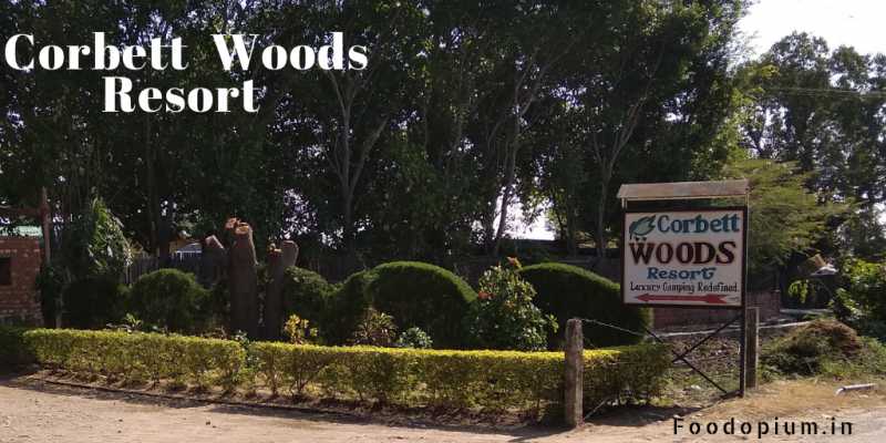 Corbett Woods Resort - Review - Food Opium