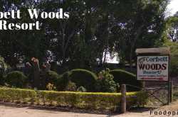 Corbett Woods Resort - Review - Food Opium