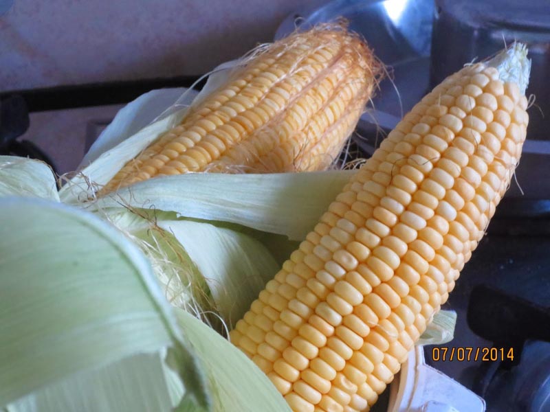 Corn Masala In My Style