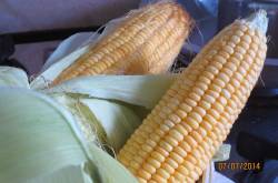 Corn Masala in my Style