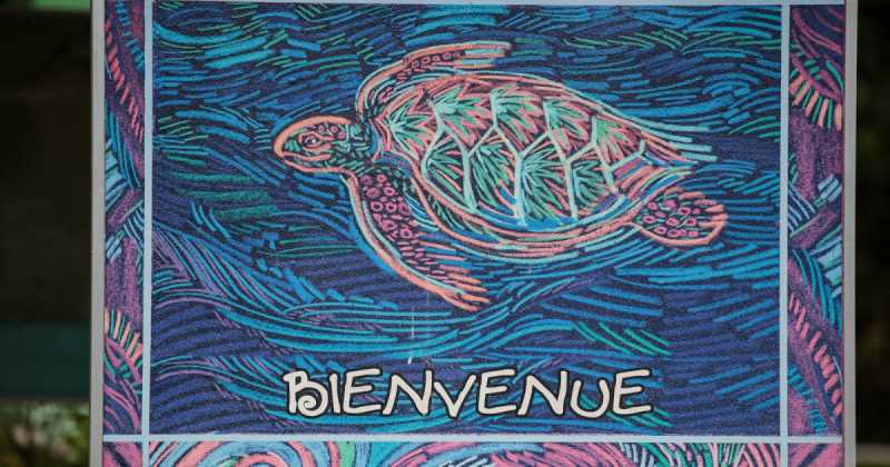 Costa Rica - Part I (Tortuguero)