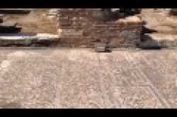 Country Hopping Couple