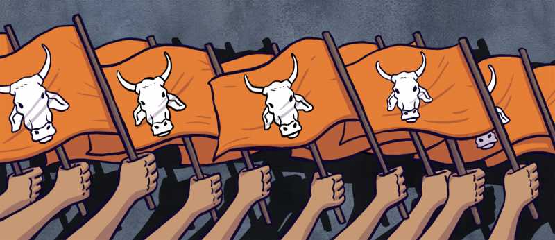 Cow And Its Religious Importance •