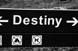 Coz I believe in Destiny..
