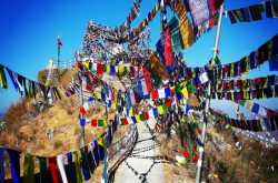 Cracking Indian Forest Service Examination