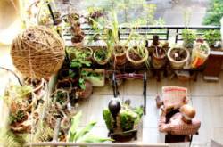 Cradled In Love - Truptea Shop