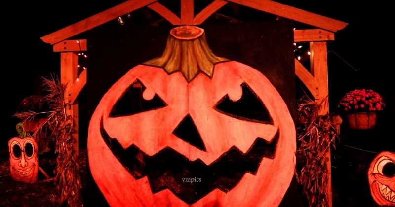 Craze Of The Hudson Valley Jack 