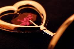 Crazy, Stupid, Love...