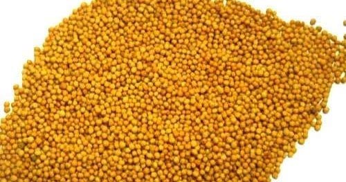 Create Recipes With Varieties Of Curry Base 