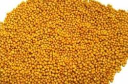 Create recipes with varieties of curry base 