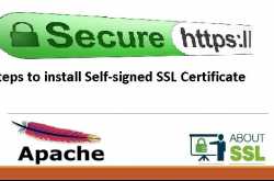 Create self-signed SSL certificate on Windows