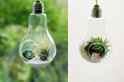 Creative DIY Ideas To Reuse Old Bulb 
