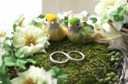 creative engagement ring platter ideas | engagement ring entry ideas