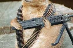 Creative Writing and Captioning it is!