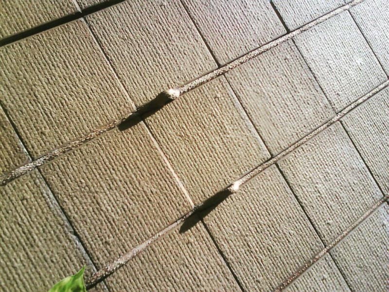 Creeping Up The Wall - A Moment Captured By Peppered With Stories