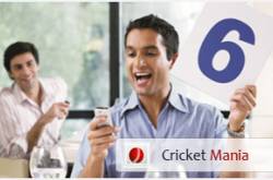 Cricket Mania