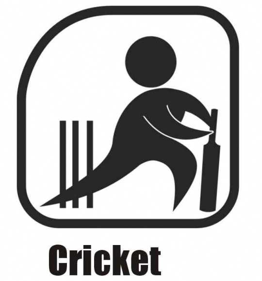 Cricket - The Superb Sport Loved By Millions Of People !