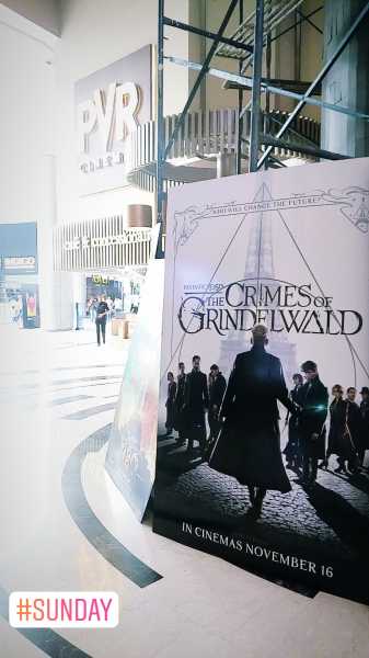 Crimes Of Grindelwald, And My Thoughts On It