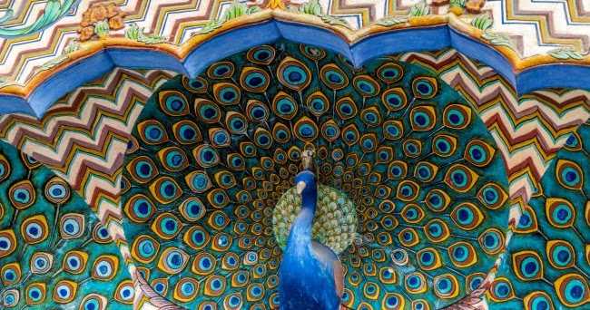 Crisscrossing Rann Of Kutch And Rajasthan - Part 2 - Nostalgia At Jaipur