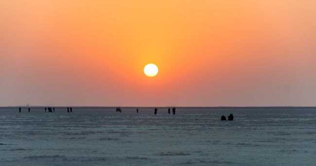 Crisscrossing Rann Of Kutch And Rajasthan - The Magic At White Desert