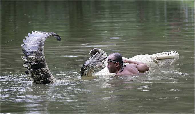 Crocodile Whisperers - Amazing And Dangerous Sea Life