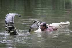 Crocodile Whisperers - Amazing and Dangerous Sea Life