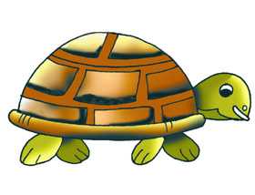 Crocodiles Marriage Hindi Story - BehtarLife.com