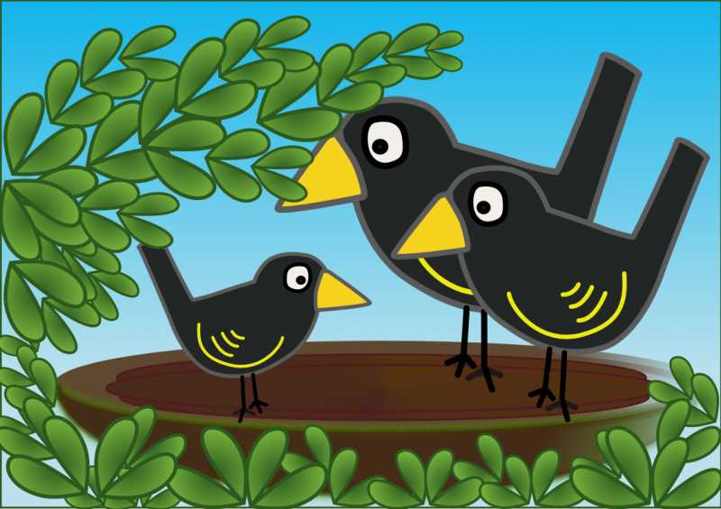 Crow Gets A Coconut Treat