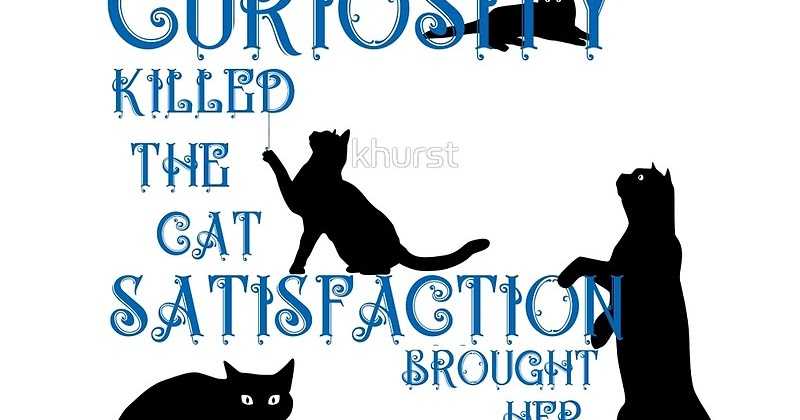 Curiosity Killed The Cat: Reflections At The Beginning Of A New Academic Year