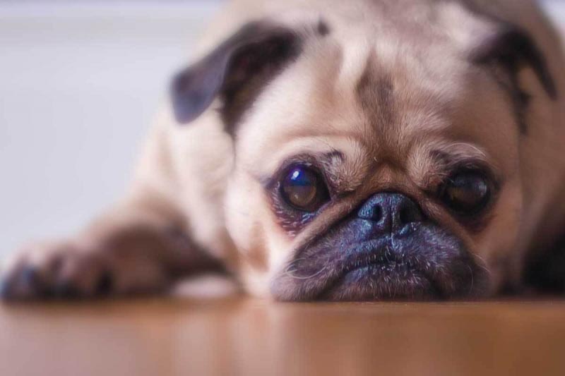 Cute Instagram Captions And Quotes {Bios} For 2018