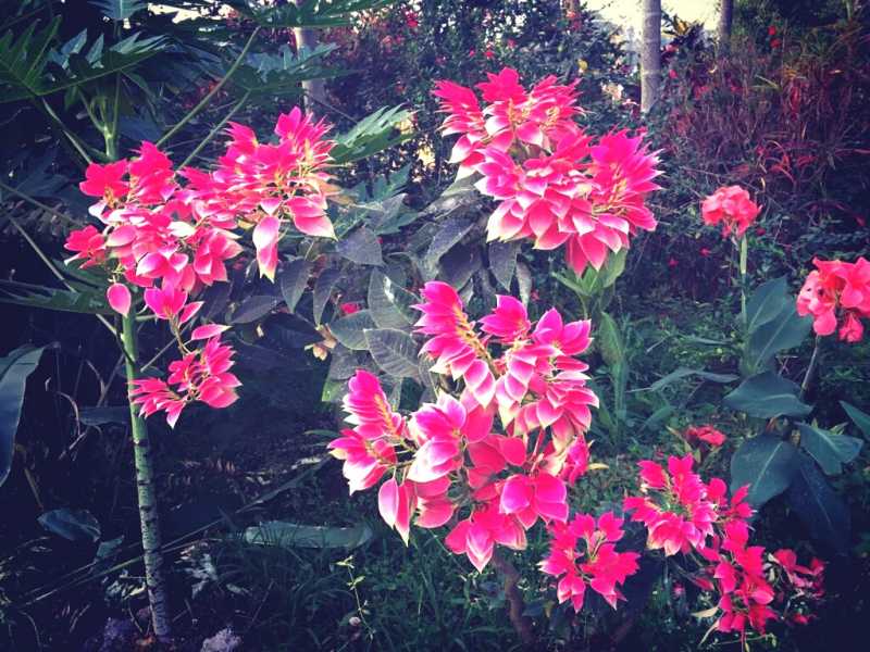 Cute Photo Story #32 The Single Parent