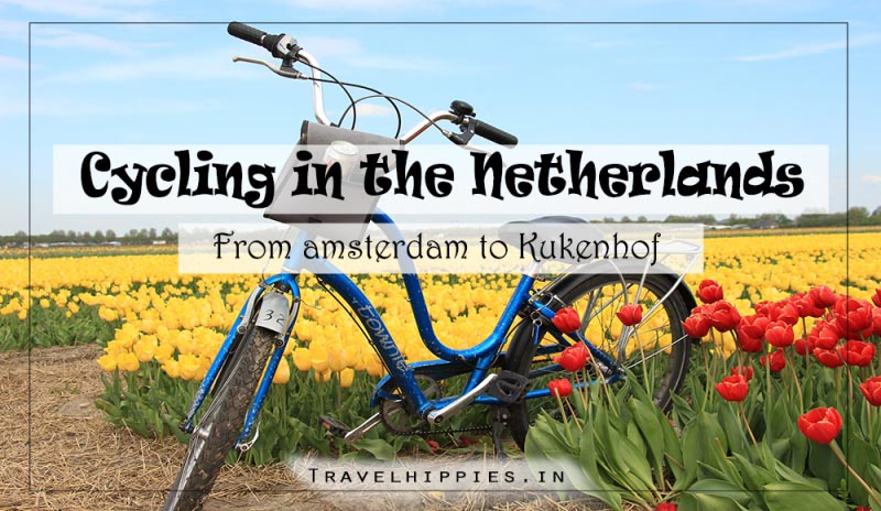 Cycling From Amsterdam To The Tulip Fields In Holland