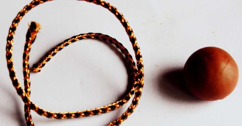 DIY Bio Friendly Rakhi