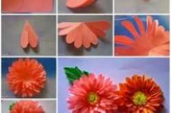 DIY Paper Flowers
