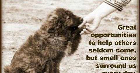 DON’T LET THIS OPPORTUNITY PASS BY