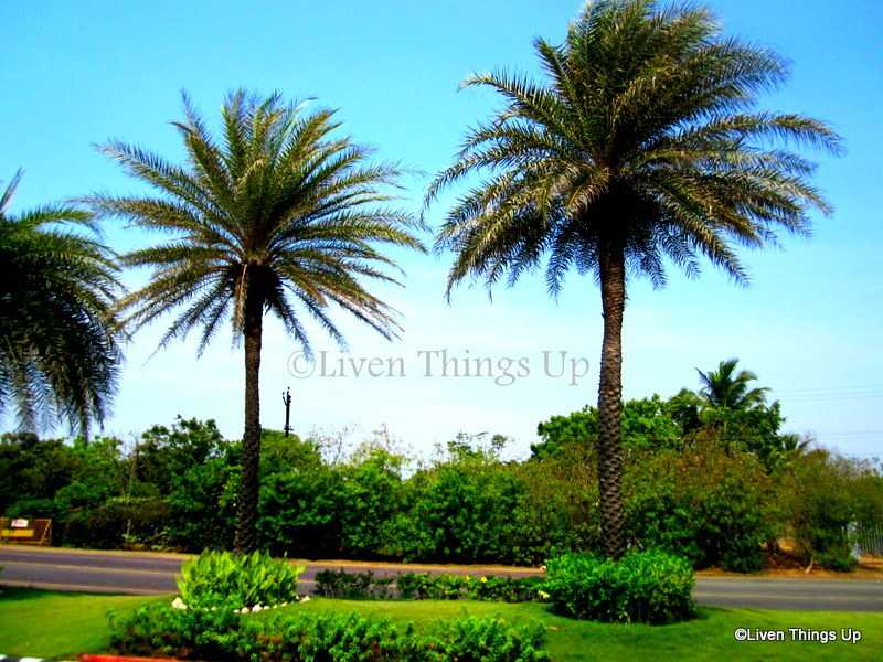 DakshinaChitra - Living Traditions In A Changing Society ... 