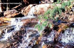 Damera waterfall, Jashpur