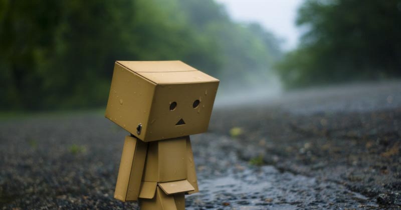Danbo Robo