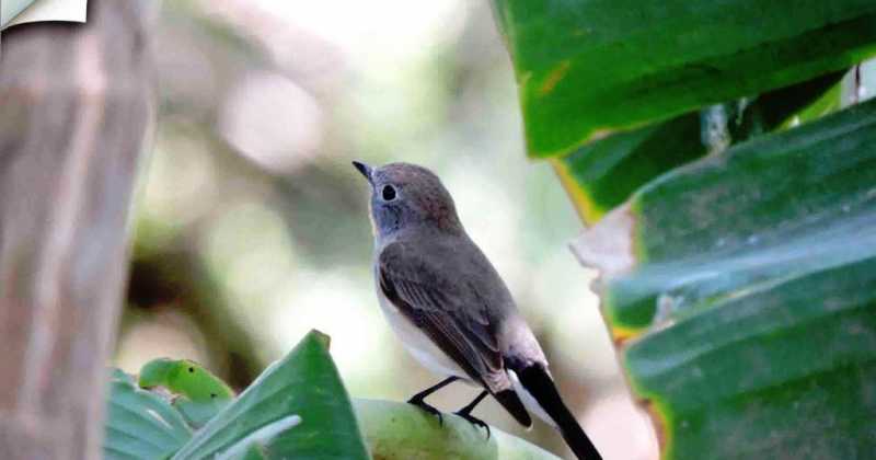 Dandeli Day 3 - Timber Depot And Jacuzzi Bath