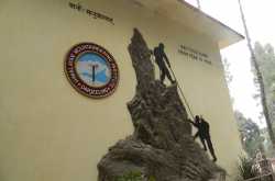 Darjeeling: Colorful Calmness for Chai with Queen