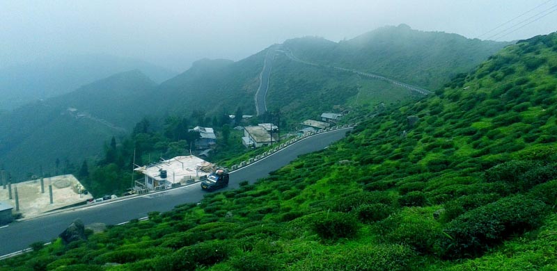 Darjeeling Diary - The Beginning